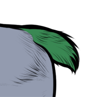 Tail Markings